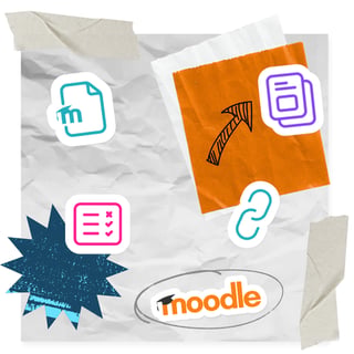 Field notes